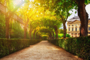 Bild von Peter H auf Pixabay